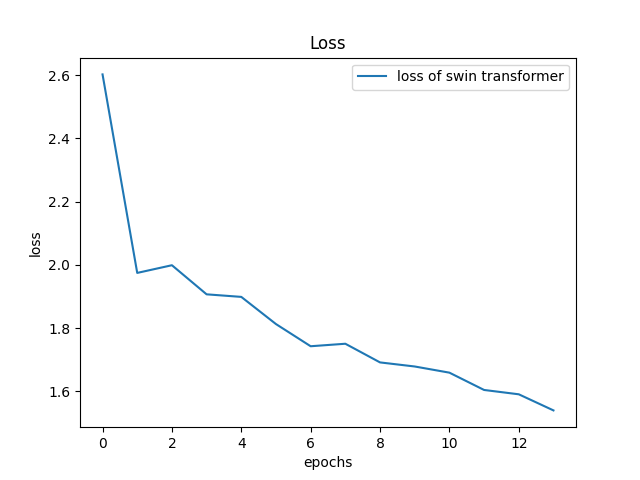 Swin Transformer Loss
